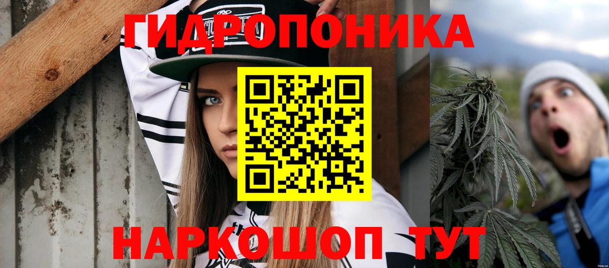 Бошки марихуана конопля  Марихуана конопля  Вход с VPN  Бошки Шишки THC 21%  Конопля Amnesia  Котовск 